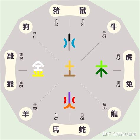 乙巳年 五行|乙巳年五行屬什麼？探索乙巳年的十二生肖和五行特性